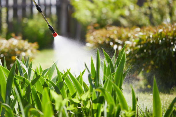 24/7 Emergency Ant Control experts in Bloomingdale, IL