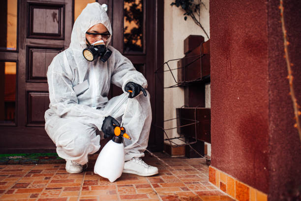 Reliable Ant Control contractor in Bloomingdale, IL by Show Me Pest Control